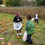 DCS Kindergarten Students Visited Wickman Farms - 10/20/11