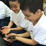 Spiders: Heroes or Villains - Learning Expedition Spring 2012